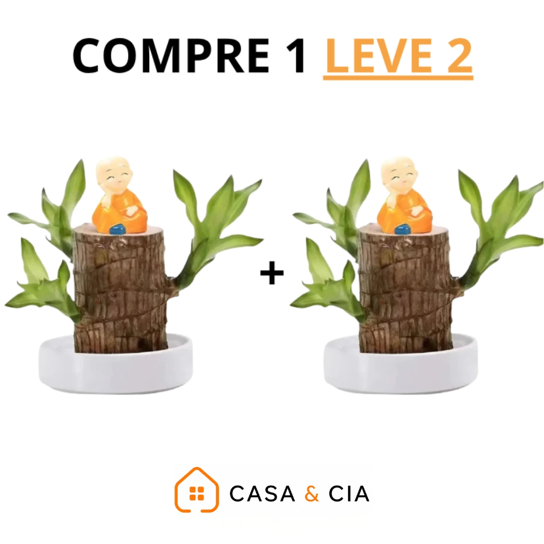 Madeira Brasil Planta da Sorte + Monge da Sorte de Brinde...